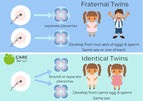 Can I Have Twins With Ivf Eurocare Ivf Center Cyprus